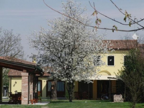 Particolari del Brenta Oriago Di Mira